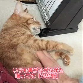 2026/02/09の画像