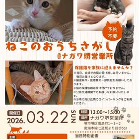 2026/03/20のサムネイル画像