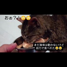 2025/01/02の画像