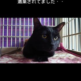 2026/02/18の画像