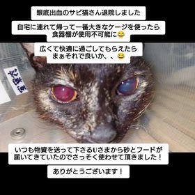 2026/02/28の画像