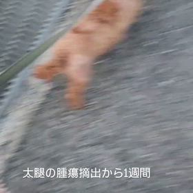 2026/02/05の画像