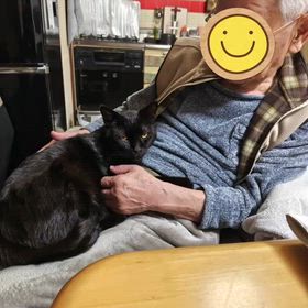 2026/02/08の画像