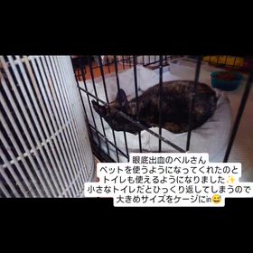 2026/03/28の画像