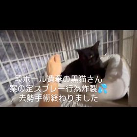 2026/02/21の画像