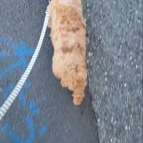 2026/02/15の画像