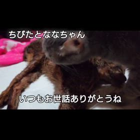 2025/02/11の画像