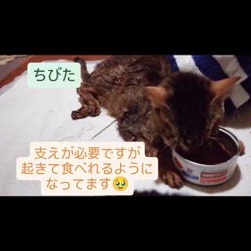 2025/01/08の画像