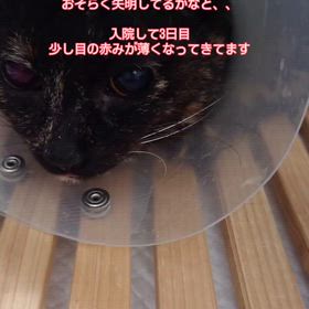 2026/02/27の画像