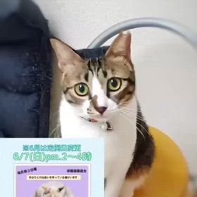 2026/05/29の画像