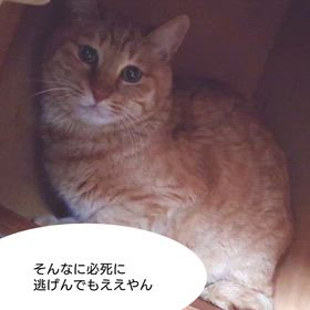 2026/04/30の画像