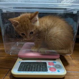 2026/05/29の画像