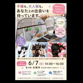 2026/05/30の画像