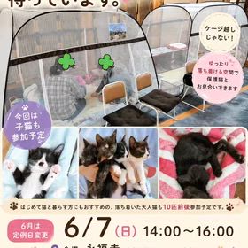 2026/06/02の画像