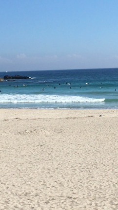 パラダイスでめちゃくちゃ遅い夏休みの記事動画
