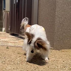 奇跡②の画像