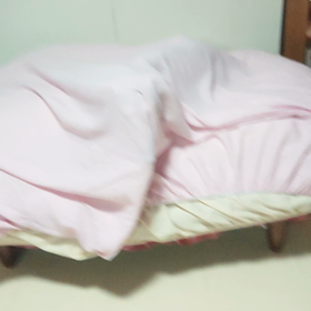 ビゼーのかくれんぼの画像