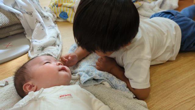 近況の記事動画