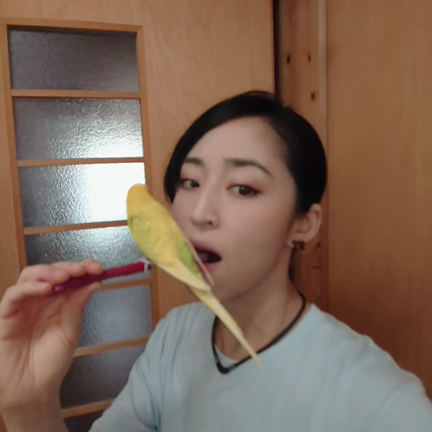 8月残りライブのお知らせの記事動画