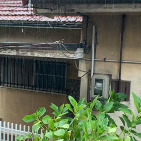 雨☔️の画像