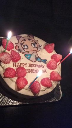 不思議な誕生日ケーキと、イタリアン♡の記事動画