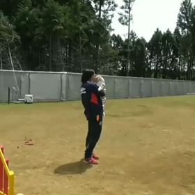 デールさんのアジリティレッスン⛅2019.5.9の画像