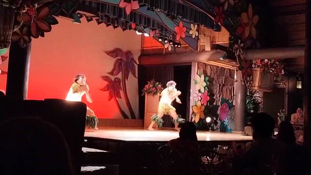 夏のディズニーランドへ行ってきた！の記事動画
