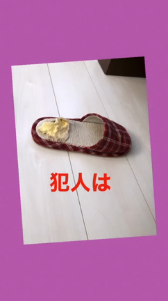 やんちゃの記事動画