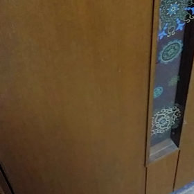 猫の世話と家事と見舞いと自分のお仕事の画像