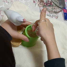 餌やりの画像