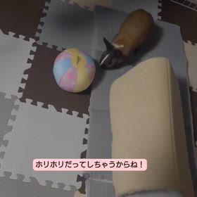 うっさの満足度の画像
