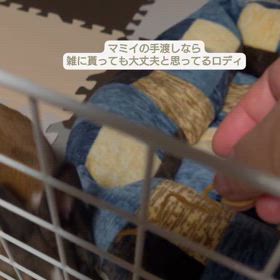 今日で丸4ヶ月！の画像