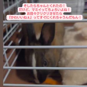 うっさ続！の画像
