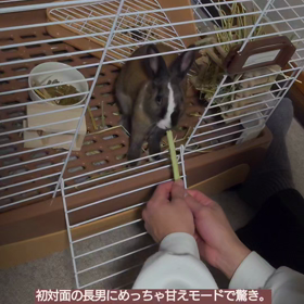 今日は久々の長男登場！の画像