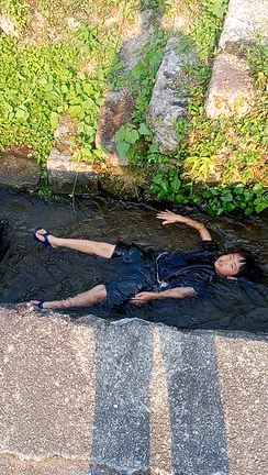 どこにも行かない夏休みの記事動画