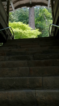 貴船神社＆鞍馬寺へ神さまのおつかい旅①の記事動画