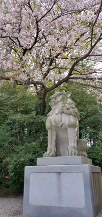 鎌倉の猫カフェの記事動画