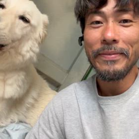 常にデルタレンタカーの画像