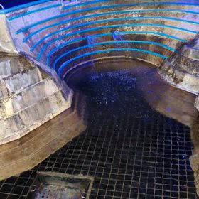 放水の画像