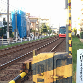 赤い市電　鹿児島国体ラッピングの画像