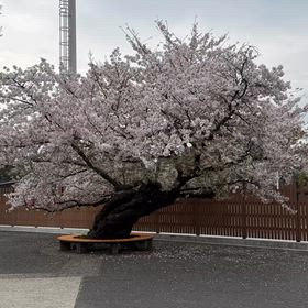 2026/04/06の画像