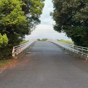 2026/04/24の画像