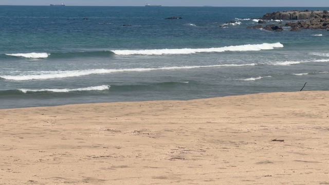 宮崎にの記事動画