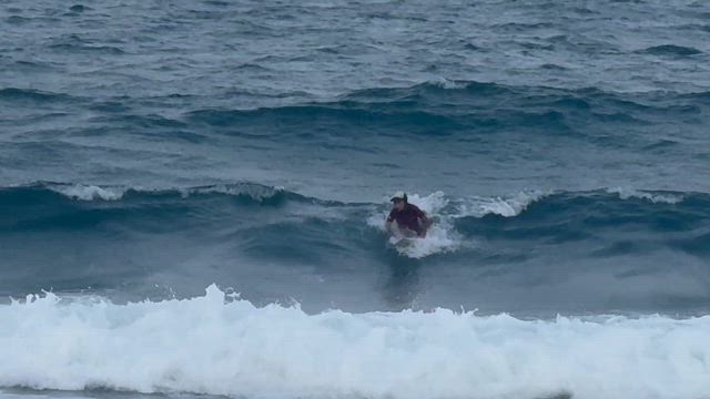 バーチGO練習の記事動画