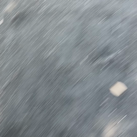 今日は散歩の画像