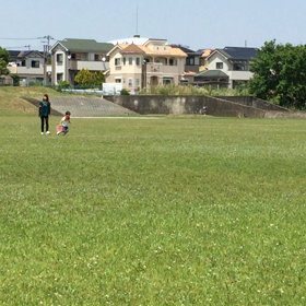 フリスビーの画像