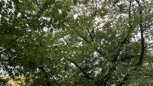 ■あなたはえらい■の記事動画