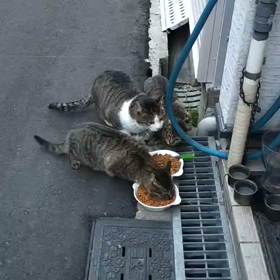 本は知識をの画像
