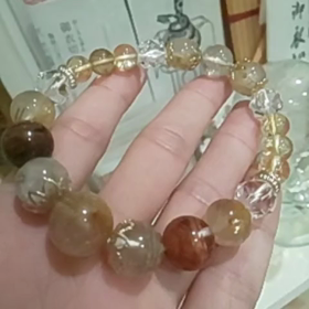セミが数日前から鳴き出したわねの画像