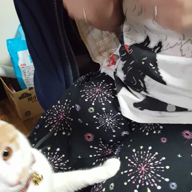 今日のCIAOちゅ～るの画像